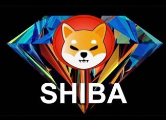 SHIBA INU –digitaalisten valuuttojen uusi tulokas SHIBA INU –digitaalisten valuuttojen uusi tuloka